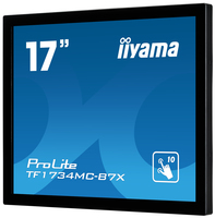 Iiyama 3