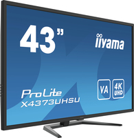 Iiyama 1