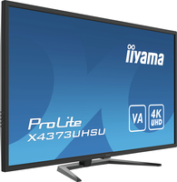 Iiyama 2