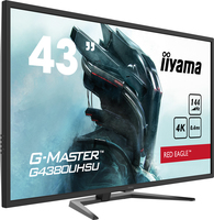 Iiyama 1
