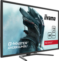 Iiyama 2