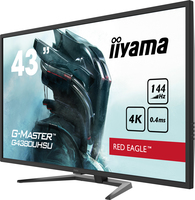 Iiyama 3