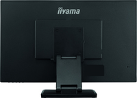 Iiyama 1