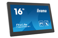 Iiyama 1