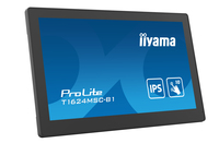 Iiyama 2