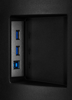 Iiyama 1