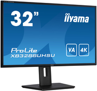 Iiyama 2