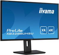 Iiyama 3