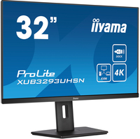 Iiyama 1