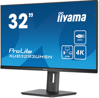 Iiyama 3