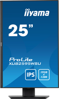 Iiyama 1