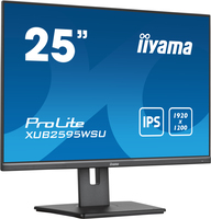 Iiyama 2