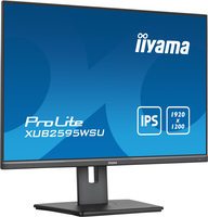 Iiyama 3