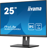 Iiyama 4