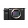 Sony 6