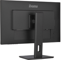 Iiyama 2
