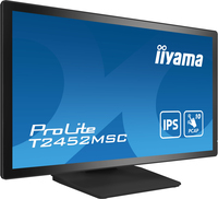 Iiyama 2