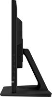 Iiyama 4