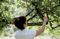 Fiskars 4