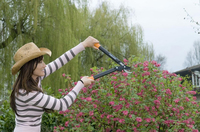 Fiskars 5