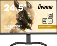 Iiyama 1