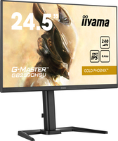 Iiyama 3
