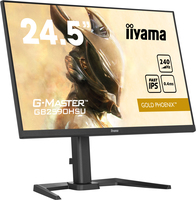 Iiyama 6