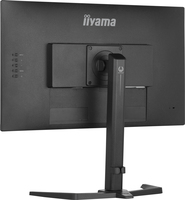 Iiyama 6