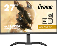 Iiyama 1