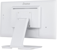 Iiyama 1