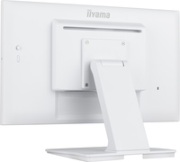Iiyama 2