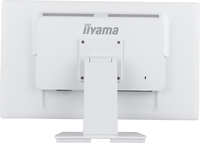 Iiyama 1