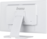 Iiyama 2