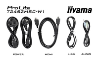 Iiyama 12