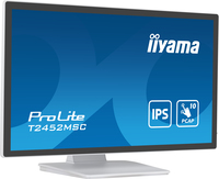 Iiyama 13