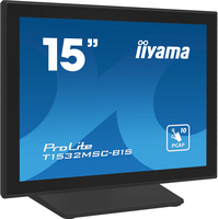 Iiyama 1