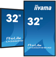 Iiyama 17