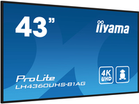 Iiyama 11