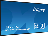 Iiyama 13