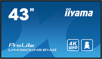 Iiyama 16
