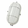Synergy 21 Led - Kellerleuchte oval IP65 5W cw