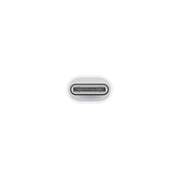 Apple 1