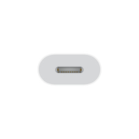 Apple 2