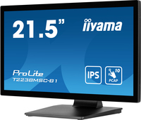 Iiyama 13