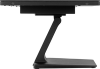 Iiyama 1