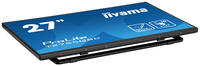 Iiyama 1