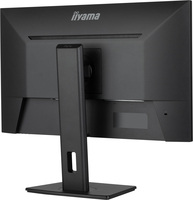 Iiyama 2