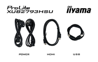 Iiyama 4