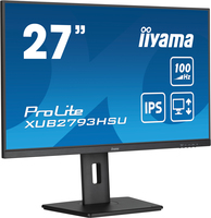Iiyama 6