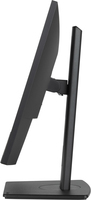 Iiyama 11